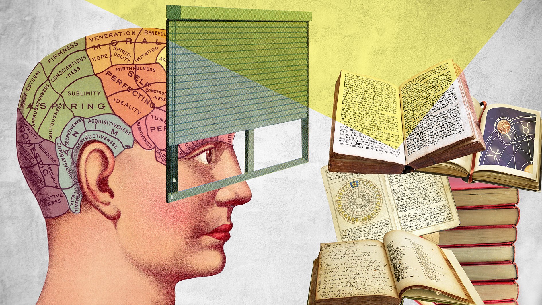 Abbe Agency Learning skills, Illustration copyright Anna Himes