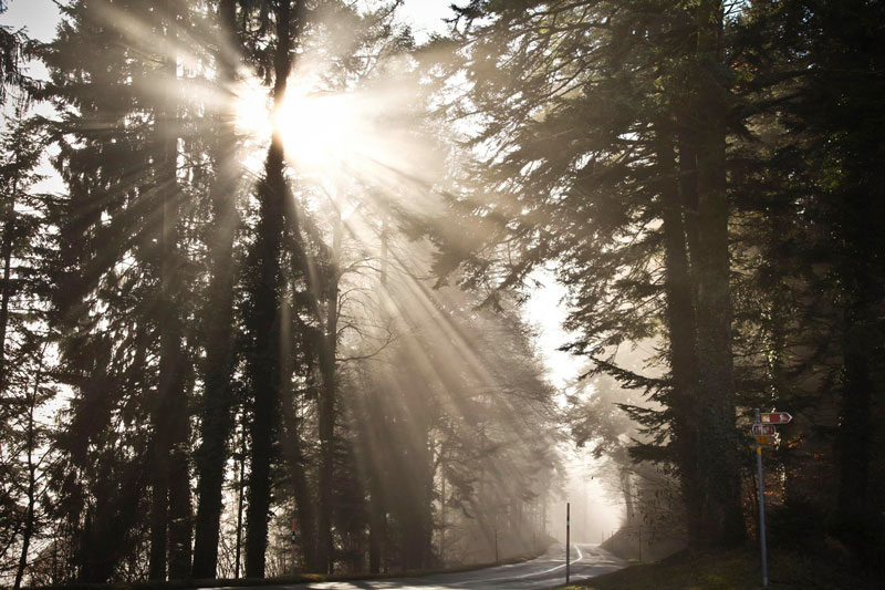 Photographic Training & Coaching